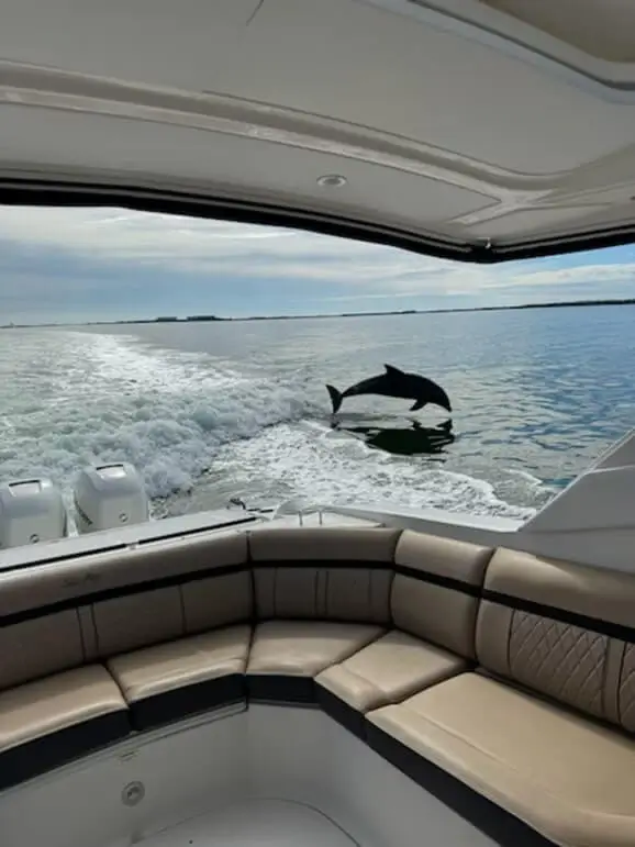 yacht_gallery7
